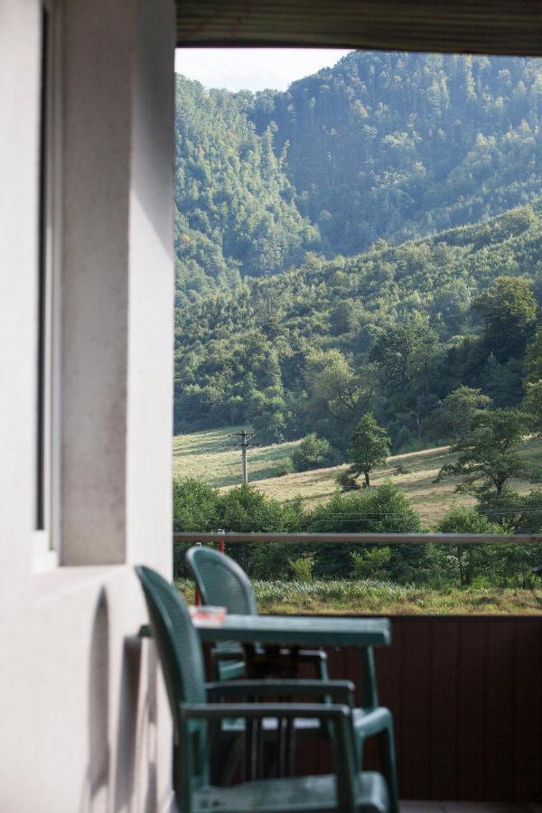 Time-Out - Valea Oltului Otel Balota  Dış mekan fotoğraf