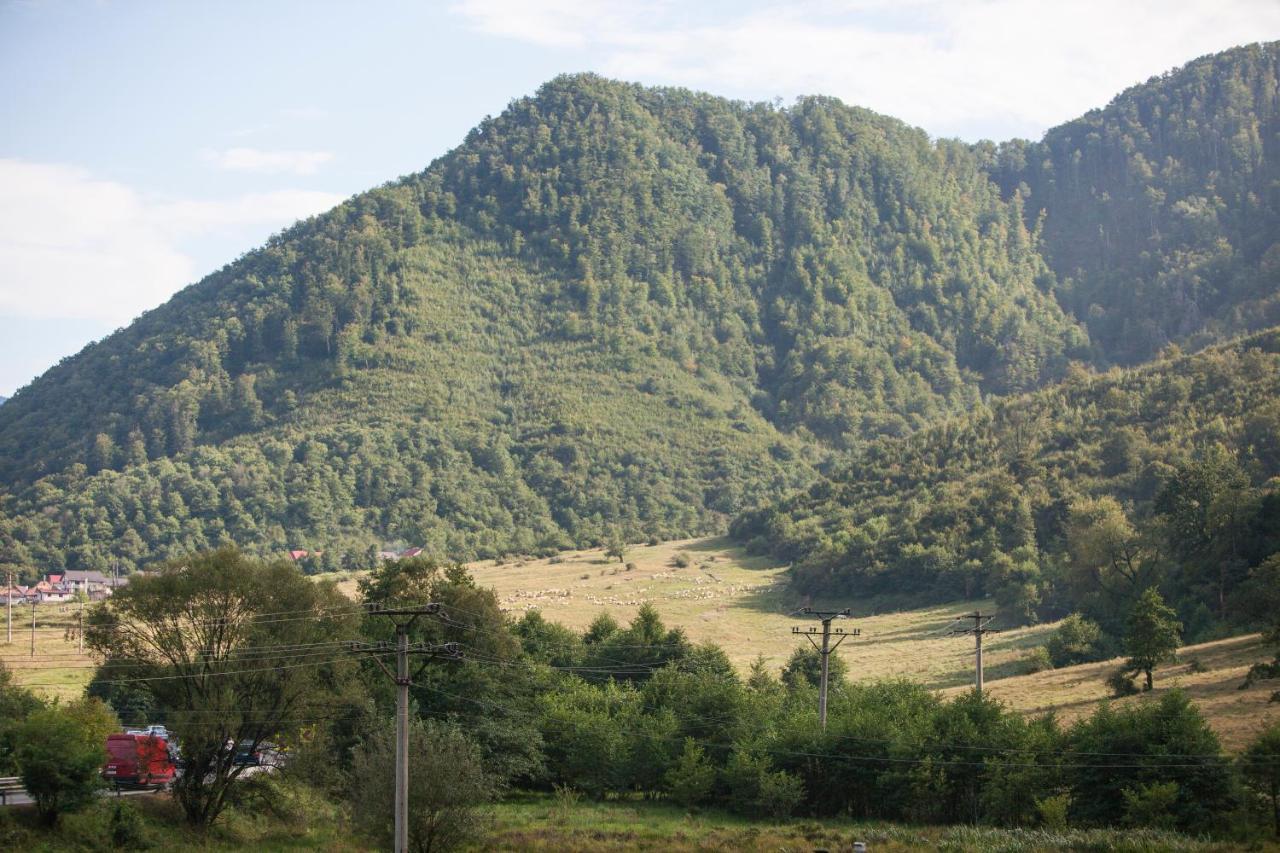 Time-Out - Valea Oltului Otel Balota  Dış mekan fotoğraf